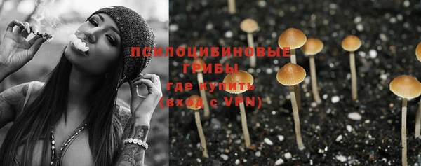 скорость Алзамай